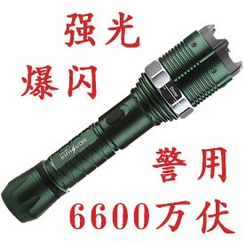 黑鹰HY-8810型号电棒